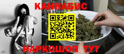 шишки Можга