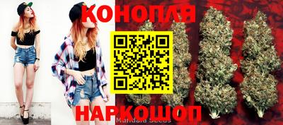 шишки Можга