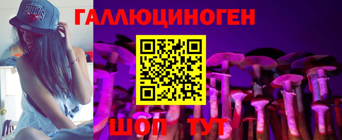 Псилоцибиновые грибы Psilocybe Тельмана